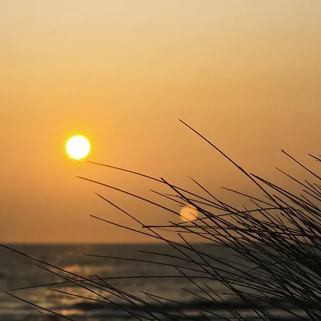 Flair Frühstückspension Zandvoort